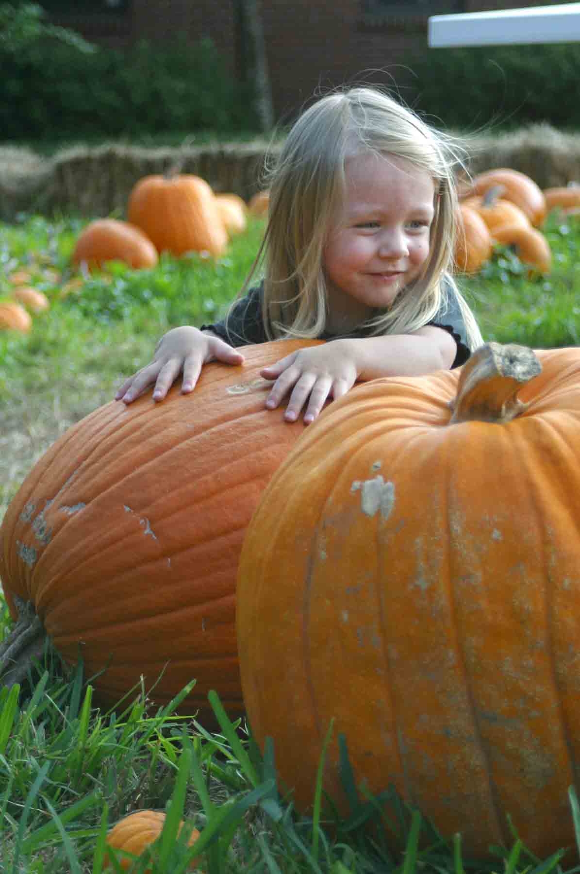 "A great pumpkin"