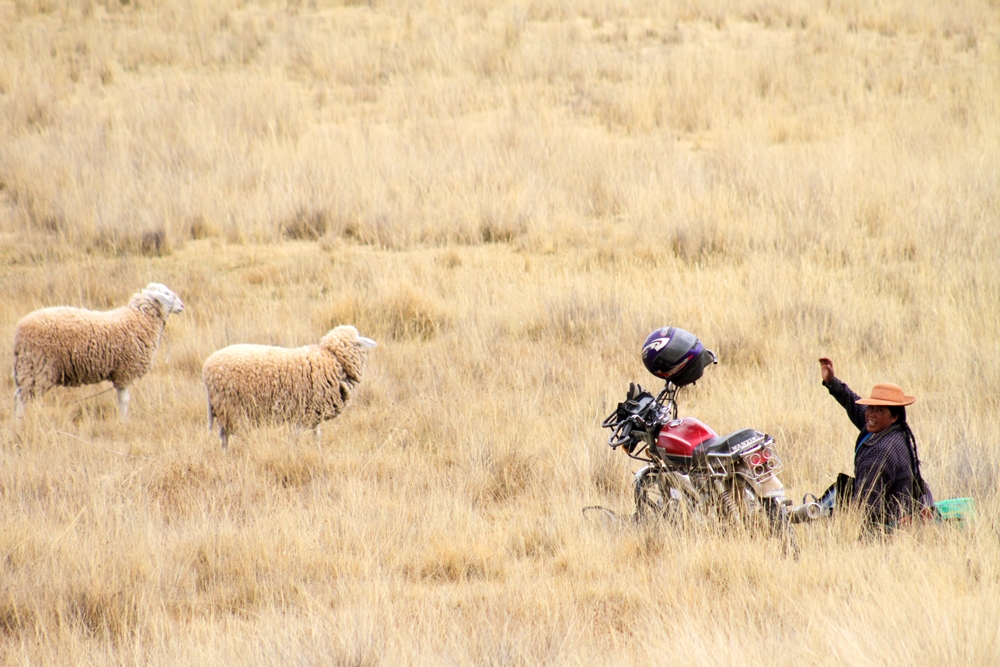 Scene from the Cusco-Puno train