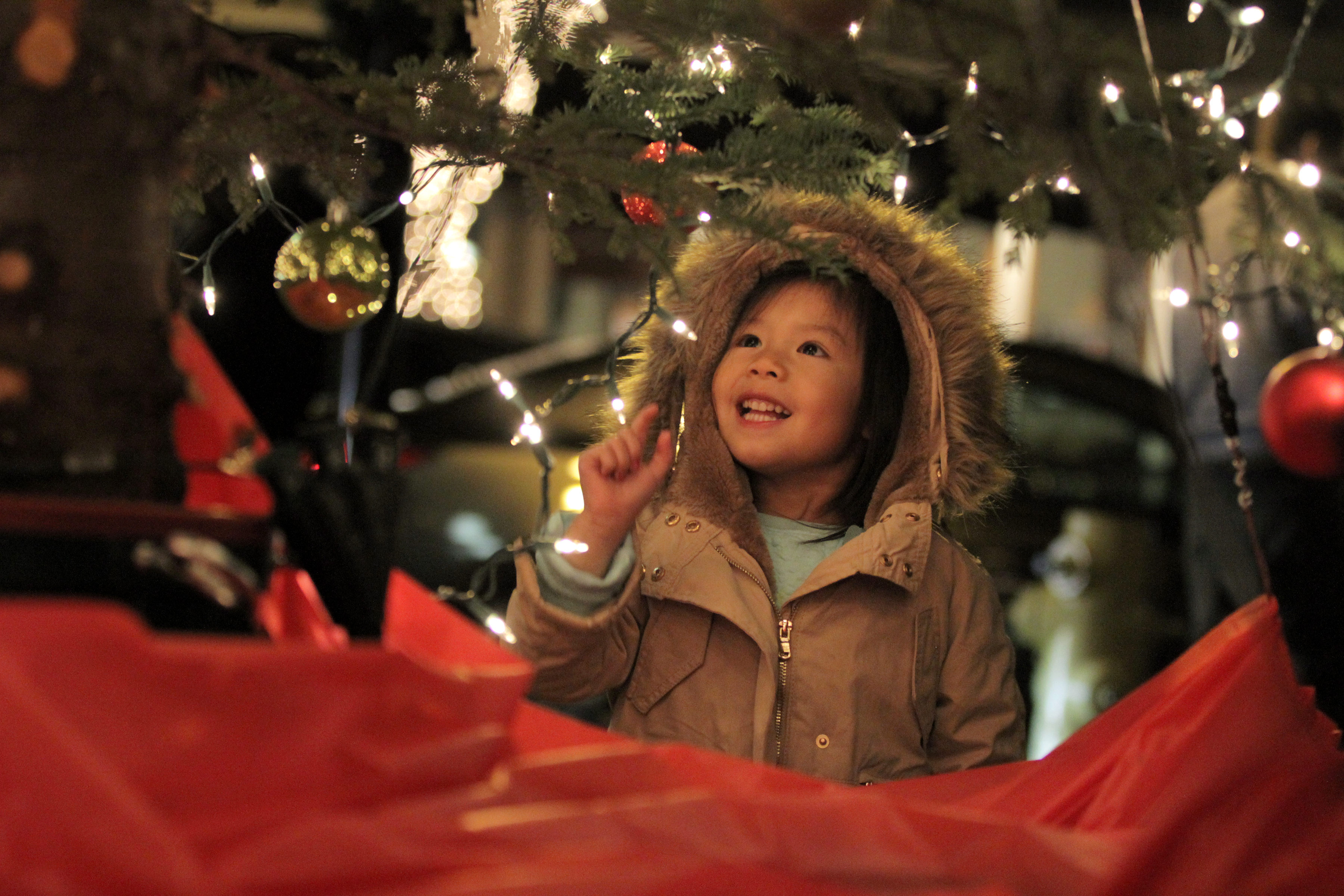 Holiday tree lighting