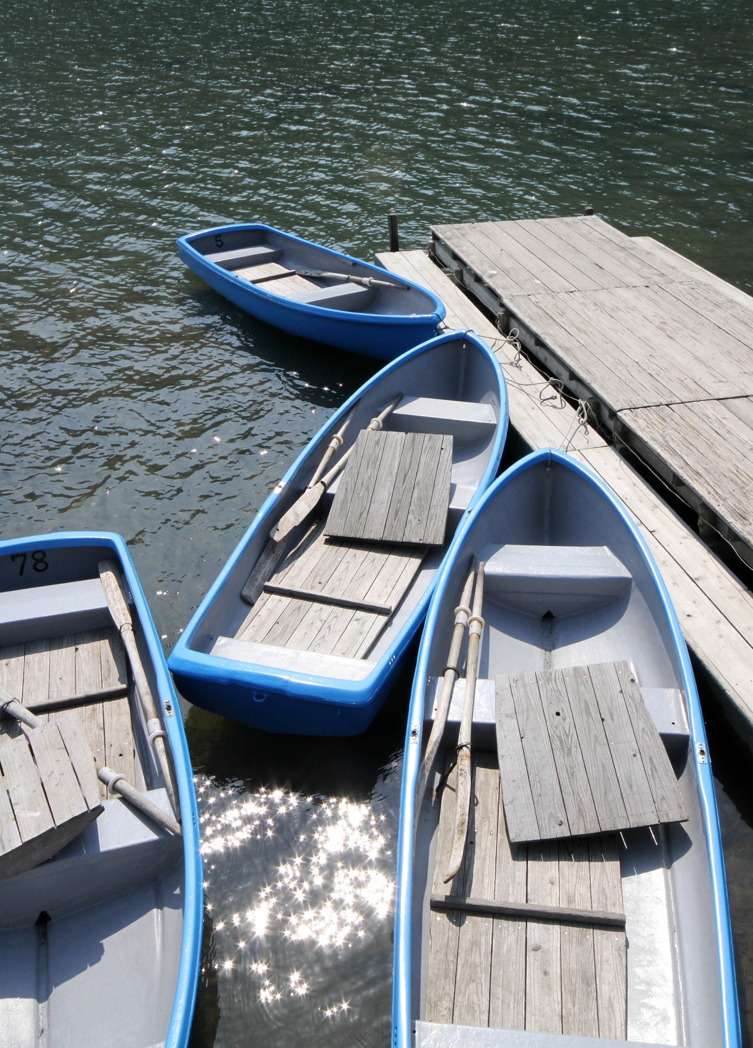 Katsura River dinghies