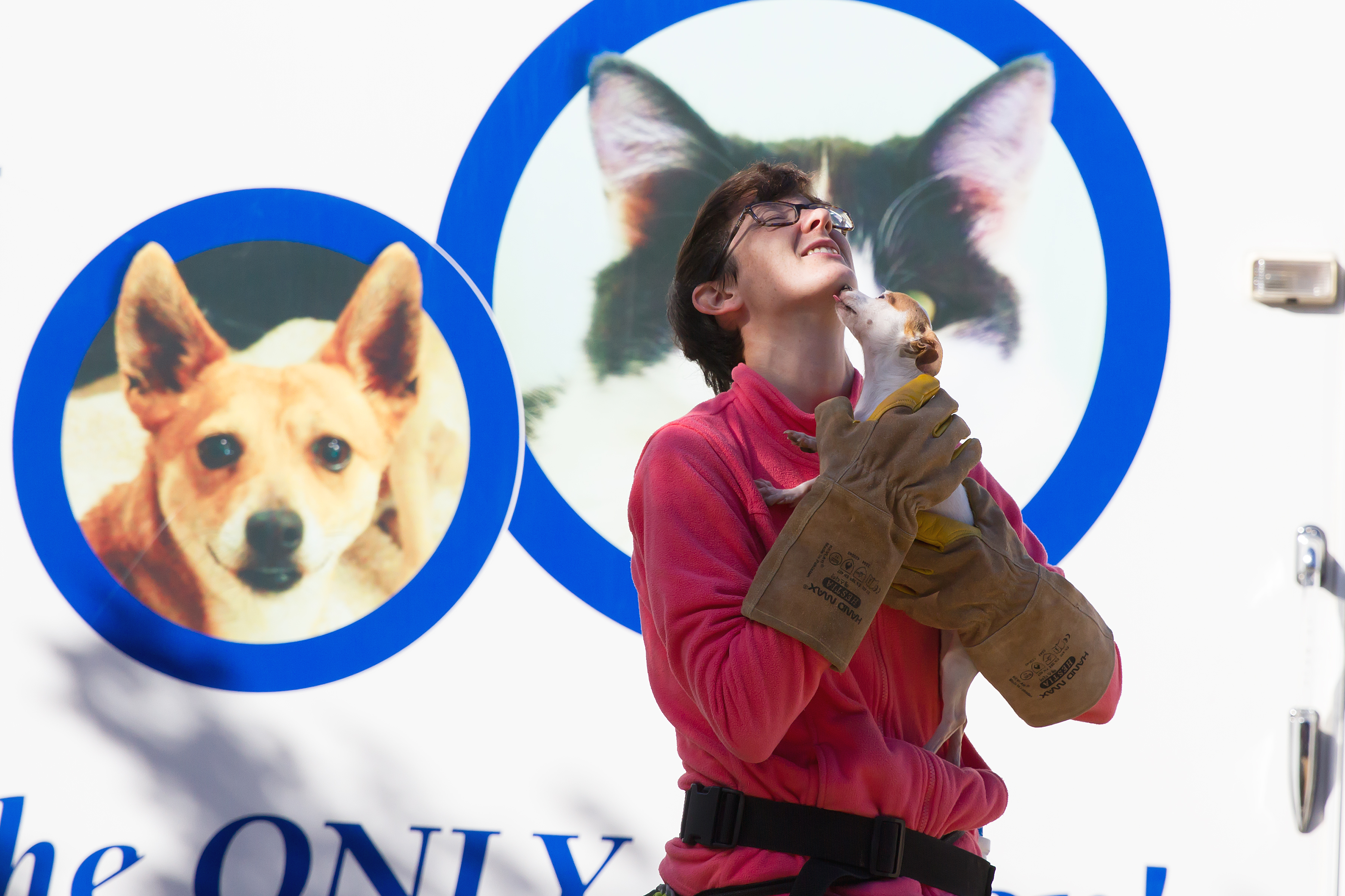 Pets In Need