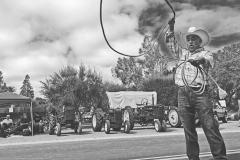Los Olivos Cowboy