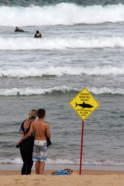 Manly Beach