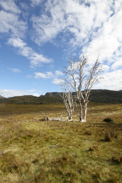 Cradle Mountain Park